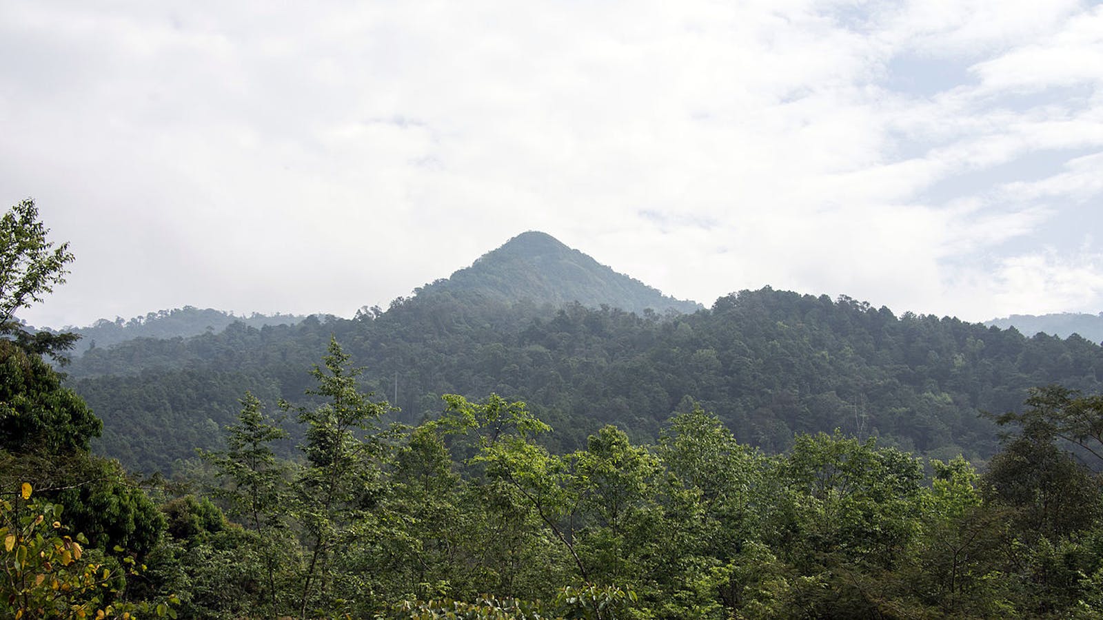 Northern Thailand Laos Moist Deciduous Forests One Earth